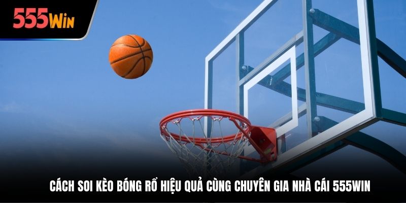 chia sẻ cách soi kèo bóng rổ tại 555win