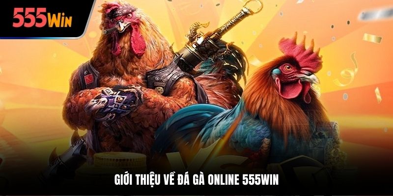 Giới thiệu về đá gà online 555win
