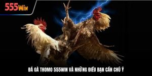 cá cược đá gà thomo