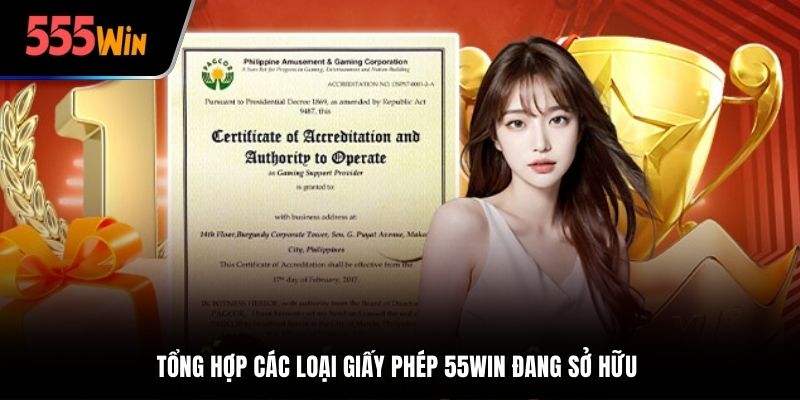 Tổng hợp các loại giấy phép 55win đang sở hữu