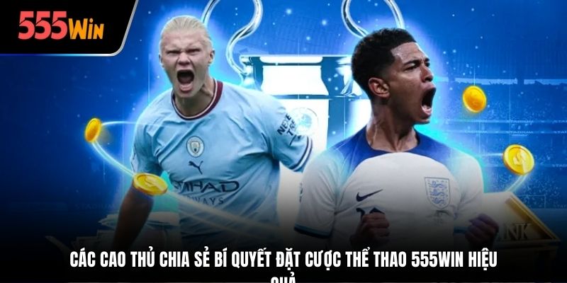 Các cao thủ chia sẻ bí quyết đặt cược thể thao 555win hiệu quả